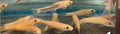 Golden suckerfish