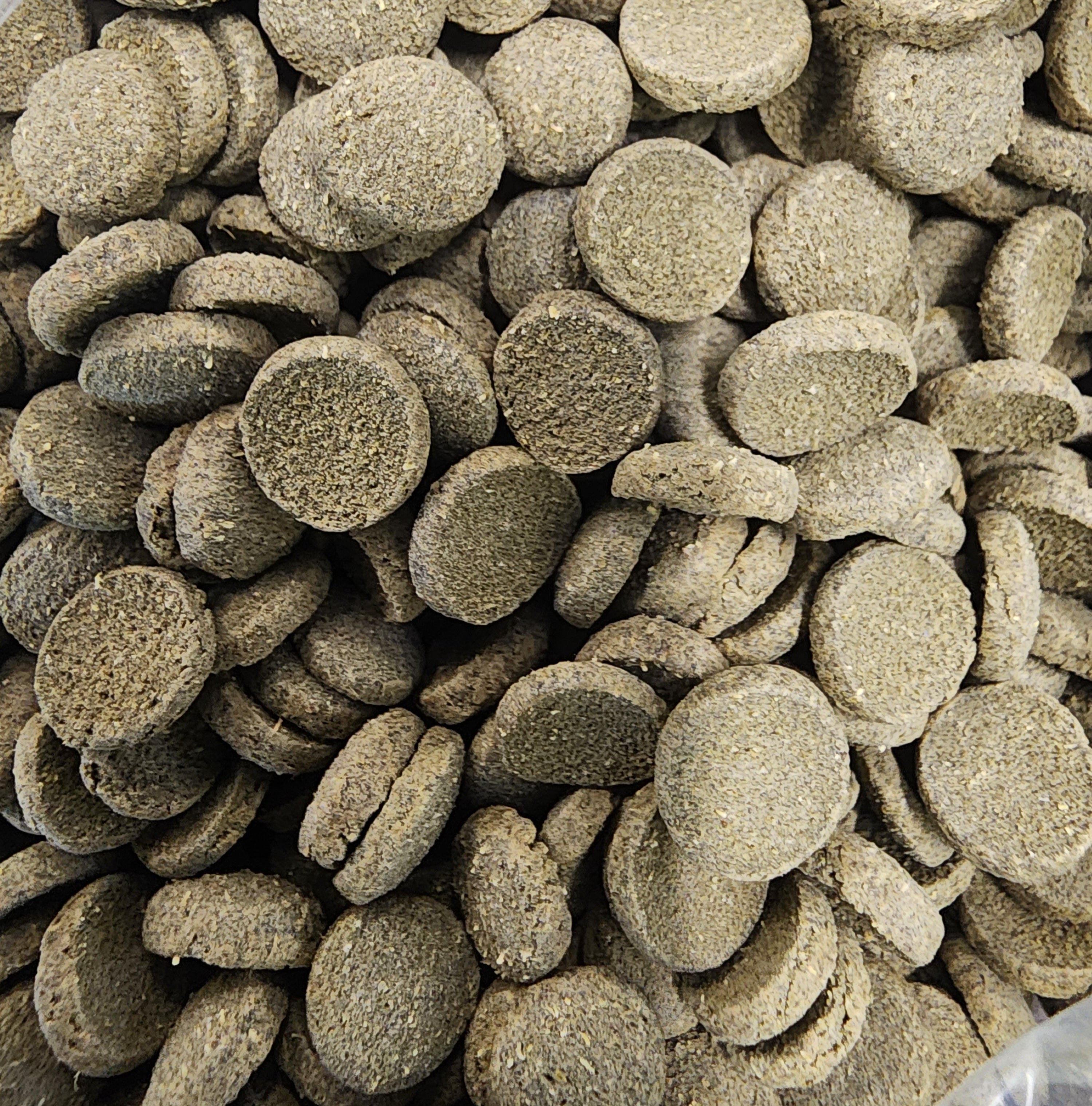 Orca Algae Wafers