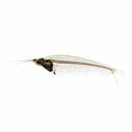 Phantom catfish