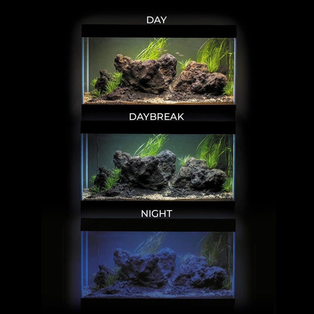 Aquael Ultrascape 90 Package