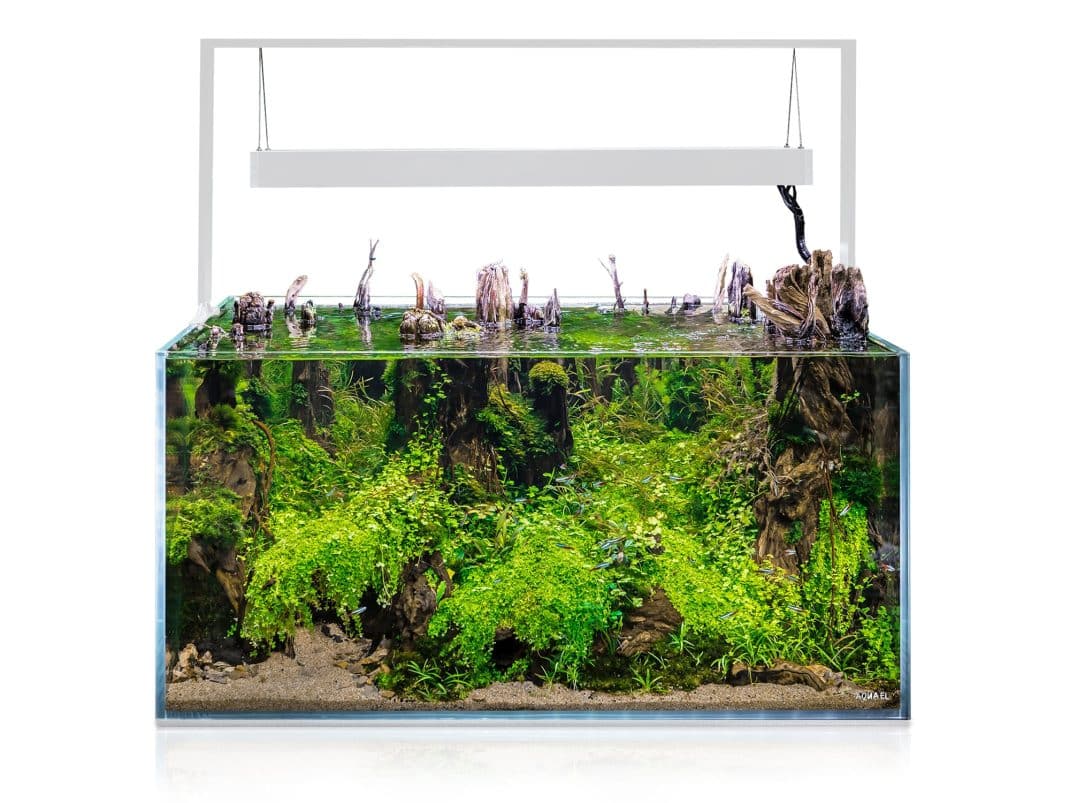 Aquael Ultrascape 90 Package